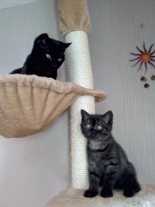 IMG_20200317_141722 (1).jpg