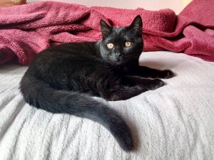 IMG_20200318_155701 (1).jpg