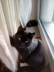 IMG_20200320_092449 (1).jpg