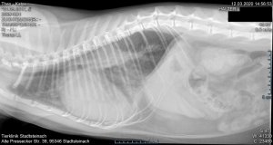 theo 12-03-2020.jpg theo 12-03-2020.jpg