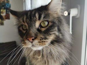 WhatsApp Image 2020-03-25 at 12.05.07.jpeg