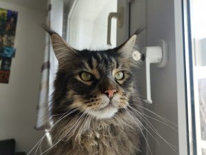 WhatsApp Image 2020-03-25 at 12.05.15.jpeg