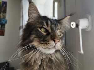 WhatsApp Image 2020-03-25 at 12.05.34.jpeg