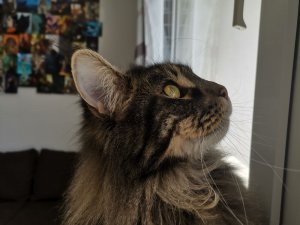 WhatsApp Image 2020-03-25 at 12.05.58.jpeg