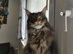 WhatsApp Image 2020-03-25 at 12.06.32.jpeg