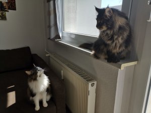 WhatsApp Image 2020-03-25 at 12.06.53.jpeg