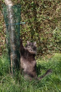 Rotes Forum Wettbewerb März.JPG