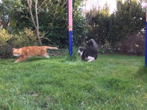 8A70D6CC-B0F8-4274-9045-70FECC15A7C7.jpeg 8A70D6CC-B0F8-4274-9045-70FECC15A7C7.jpeg