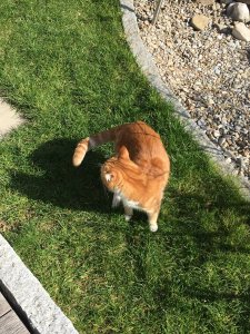 6E234565-CABC-4CC9-B721-919296B1924D.jpeg 6E234565-CABC-4CC9-B721-919296B1924D.jpeg