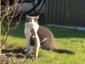 94A8D53D-4C61-417A-AAF1-4B7FD281D006.jpeg 94A8D53D-4C61-417A-AAF1-4B7FD281D006.jpeg