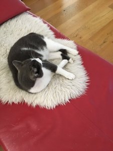 B44BD274-3ABF-4260-A43D-437EDB085F1C.jpeg B44BD274-3ABF-4260-A43D-437EDB085F1C.jpeg