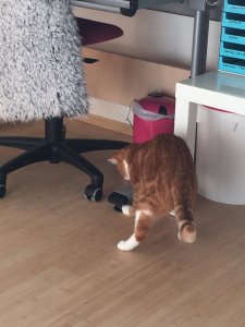 7D92E94F-C1EF-4496-9CE3-ED107A139AFB.jpeg 7D92E94F-C1EF-4496-9CE3-ED107A139AFB.jpeg