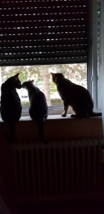 20190713_205359.jpg 20190713_205359.jpg