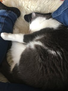 A2EF4A89-3E4C-4A09-91B0-D26F81A355A0.jpeg A2EF4A89-3E4C-4A09-91B0-D26F81A355A0.jpeg