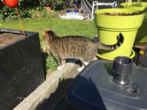 9D5C7869-4E34-4FF9-8288-D3E4D99CA3E5.jpeg 9D5C7869-4E34-4FF9-8288-D3E4D99CA3E5.jpeg