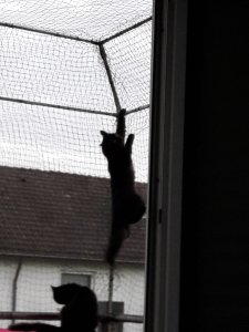 WhatsApp Image 2018-10-04 at 19.05.45.jpeg