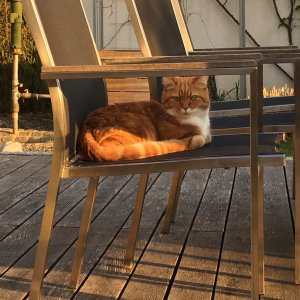 86C89FB0-45DB-466D-8060-966B5A01A737.jpeg 86C89FB0-45DB-466D-8060-966B5A01A737.jpeg