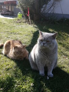 IMG_20200408_164717.jpg IMG_20200408_164717.jpg