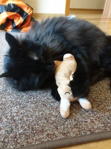 WhatsApp Image 2020-04-11 at 15.55.02.jpeg