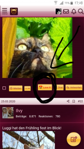 2020-04-12 17.29.08.png