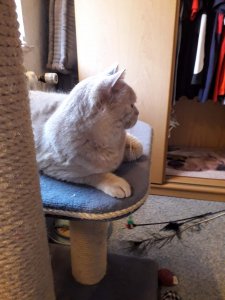 20200413_115650 (2).jpg