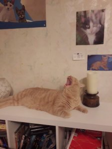 20181115_203806 (1).jpg