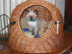 minas 18-9-04 004.jpg