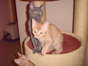 cimba_17_10_09 016.jpg