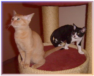 cimba_20_10_09 007.jpg