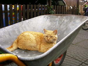 Straßenfest 13.08.04 001.jpg