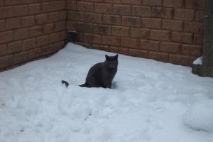 winter 2010 104.JPG