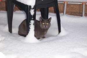 winter 2010 088.JPG