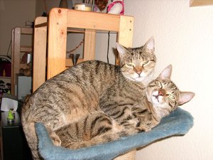 kuscheln05_08 (1).jpg