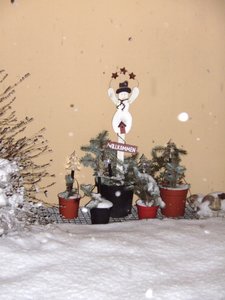 Weihnachten 09 mit Püppy 021.jpg