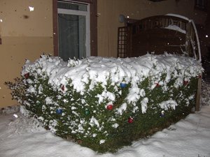 Weihnachten 09 mit Püppy 022.jpg