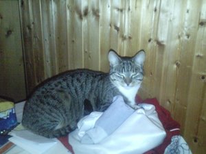 Mogli auf bastis klamotten.jpg