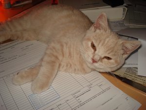 max im büro 002.jpg