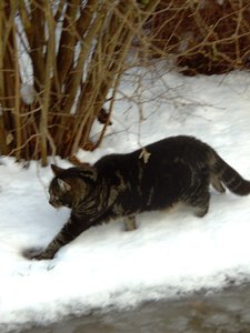 Winterwounderland II.Dez.2009 025.jpg