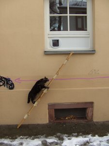 Winterwounderland II.Dez.2009 027.jpg