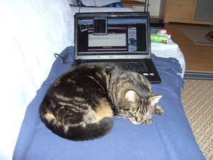 Weihnachten 09 mit Püppy 006.jpg