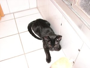 Littel John 29.01.10 (1).jpg