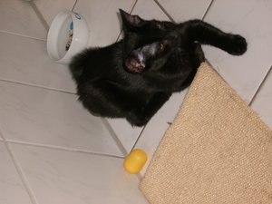 Littel John 29.01.10.jpg