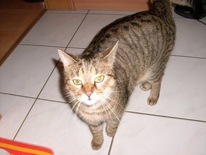 Kira 29.01.10 (3).jpg