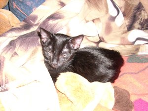 Littel John 29.01.10 (6).jpg