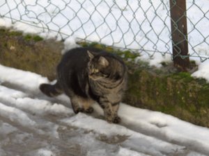 Winterwounderland II.Dez.2009 011.jpg