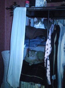 Foto746 (Medium).jpg