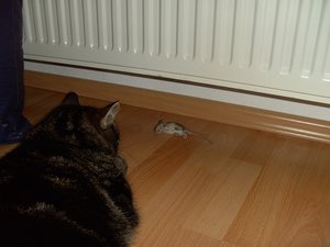 Püppy & Beute 018.jpg