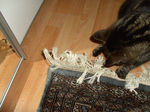 Püppy & Beute 013.jpg