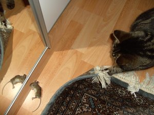 Püppy & Beute 014.jpg