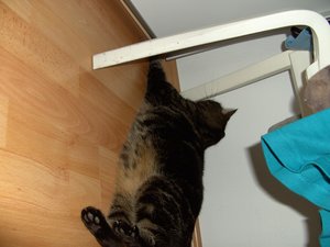 Püppy & Beute 011.jpg